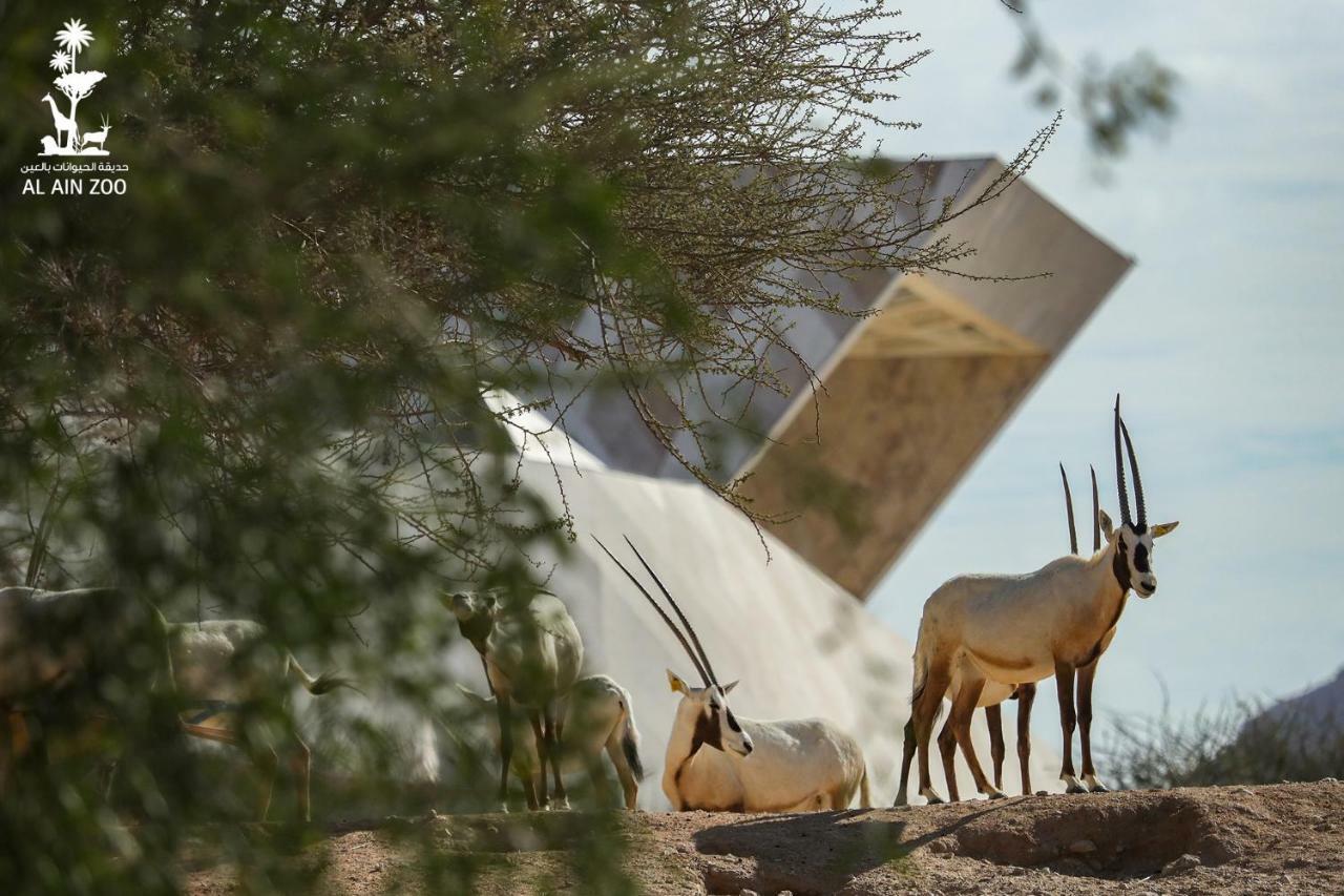 Green Mubazzarah Chalets Al Ajn Exteriér fotografie