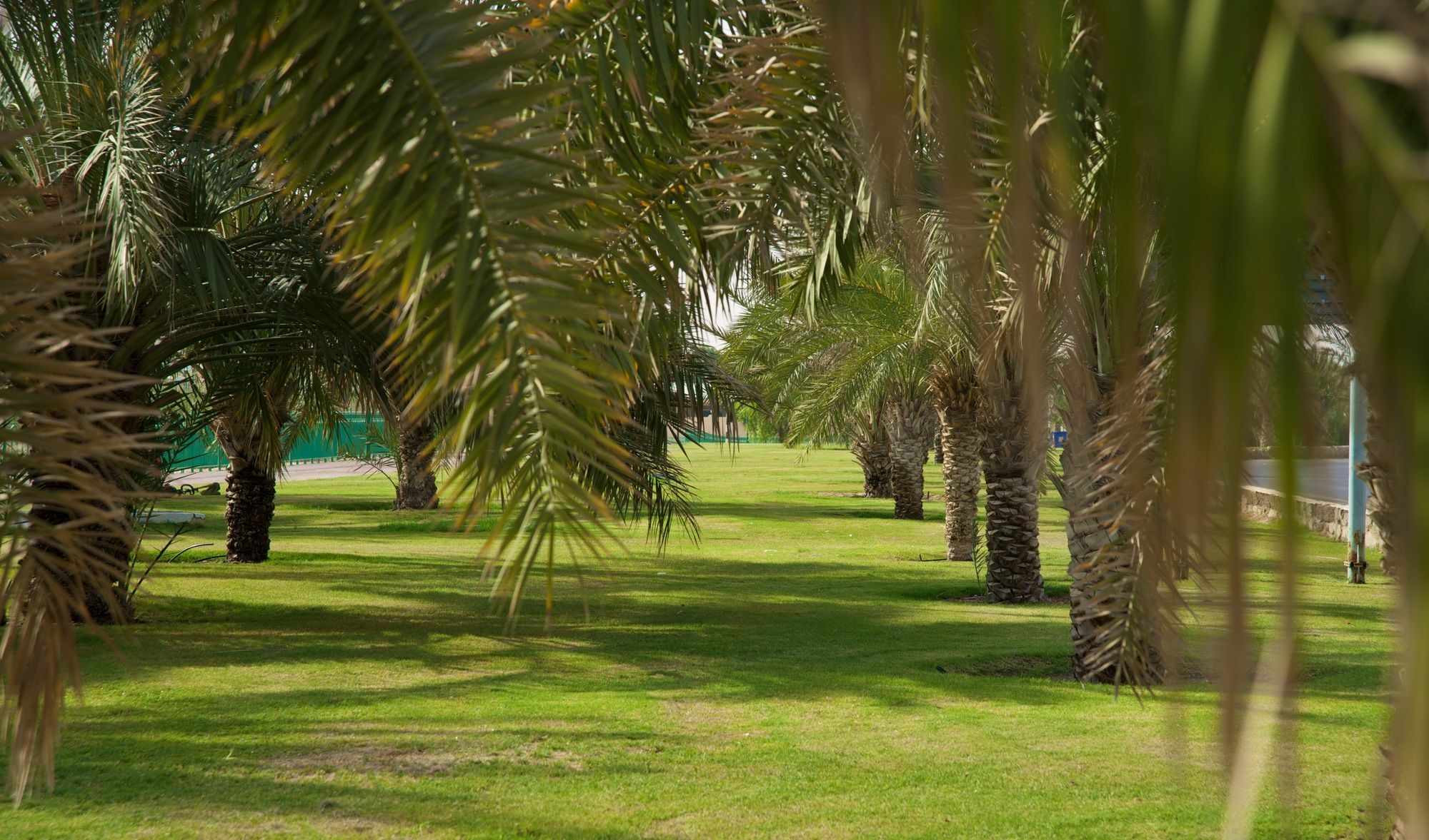 Green Mubazzarah Chalets Al Ajn Exteriér fotografie